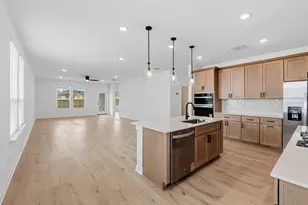 198 Rubber Tree Wy, Buda, TX 78610 - Photo 4