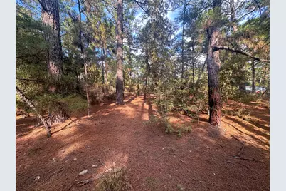 Tbd S Hill Ridge Drive, Bastrop, TX 78602 - Photo 8