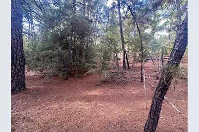 Tbd S Hill Ridge Drive, Bastrop, TX 78602 - Photo 10