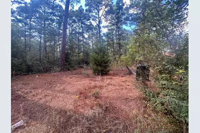 Tbd S Hill Ridge Drive, Bastrop, TX 78602 - Photo 12