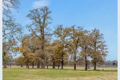 2150 Cr 412, Lexington, TX 78947 - Photo 8