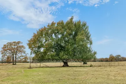 2150 Cr 412, Lexington, TX 78947 - Photo 4