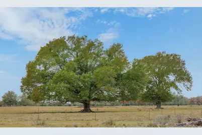 2150 Cr 412, Lexington, TX 78947 - Photo 2
