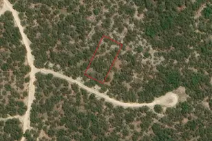 Tbd Comanche Trail, Wimberley, TX 78676 - Photo 1