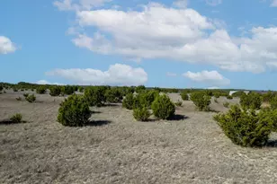 Lot 50 Miranda Ct, Lampasas, TX 76550 - Photo 8