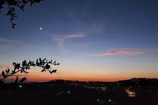 5603 Oakwood Cove, Austin, TX 78731 - Photo 36