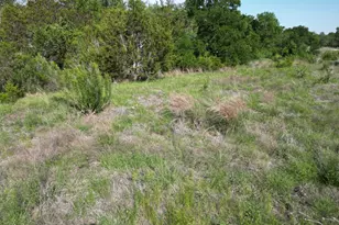 Lot 39 Serenity Dr, Bertram, TX 78605 - Photo 8