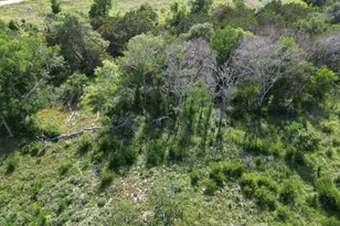 Lot 39 Serenity Dr, Bertram, TX 78605 - Photo 2