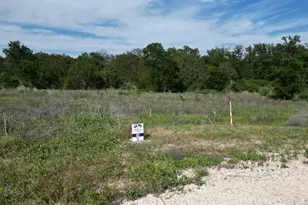 Lot 39 Serenity Dr, Bertram, TX 78605 - Photo 4