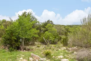 2591 Spring Valley Dr, Dripping Springs, TX 78620 - Photo 20