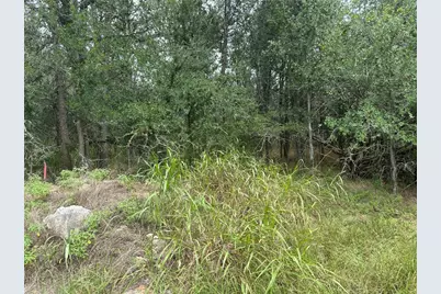 109 Halawa Court, Bastrop, TX 78602 - Photo 4