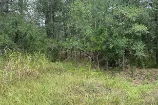 109 Halawa Ct, Bastrop, TX 78602 - Photo 1