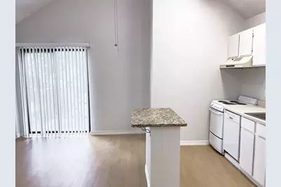 513 South Park Drive #302, Austin, TX 78704 - Photo 4