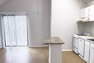 513 S Park Dr, Austin, TX 78704 - Photo 4