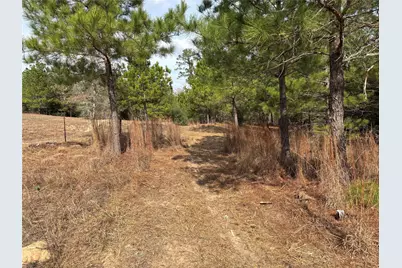 187 K C Drive, Bastrop, TX 78602 - Photo 12