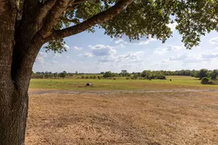 1124 Co Rd 301, Elgin, TX 78621 - Photo 10