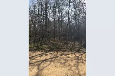 Lots 1006 and 1007 Diamond Head Drive, Bastrop, TX 78602 - Photo 4