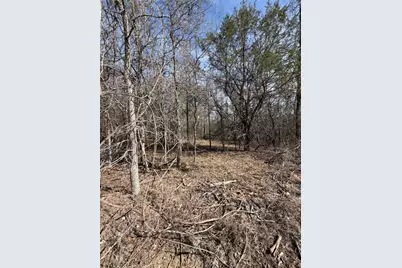 Lots 1006 and 1007 Diamond Head Drive, Bastrop, TX 78602 - Photo 10