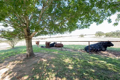 2542 Witter Road, Lockhart, TX 78644 - Photo 8