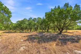 250 Gant Rd, Dripping Springs, TX 78620 - Photo 26