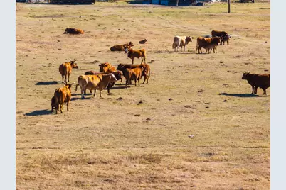 2927 County Road 302, Bartlett, TX 76511 - Photo 8