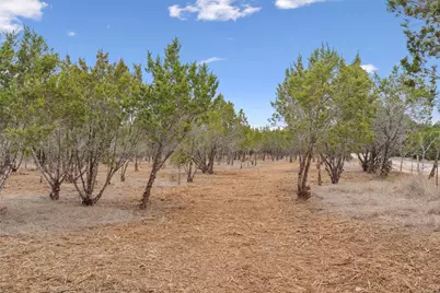 Tbd County Road 202, Liberty Hill, TX 78642 - Photo 6