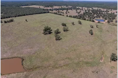 1078 Old Pin Oak Road #Tracts 1 & 2, Paige, TX 78659 - Photo 12