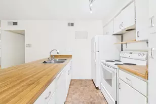 910 Duncan Ln, Austin, TX 78705 - Photo 20
