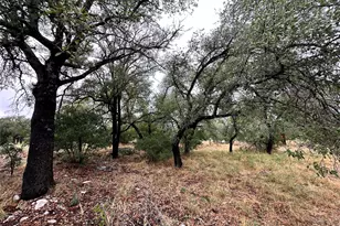 820 Mountain Dew, Horseshoe Bay, TX 78657 - Photo 8