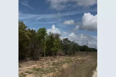 Lot 15 Antioch Road, Paige, TX 78659 - Photo 8