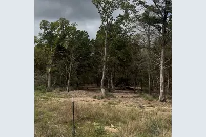 Lot 15 Antioch Road, Paige, TX 78659 - Photo 1