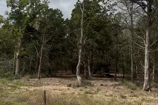Lot 15 Antioch Rd, Paige, TX 78659 - Photo 1