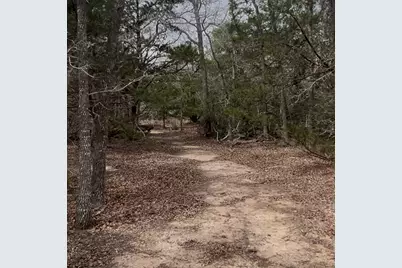 Lot 15 Antioch Road, Paige, TX 78659 - Photo 6