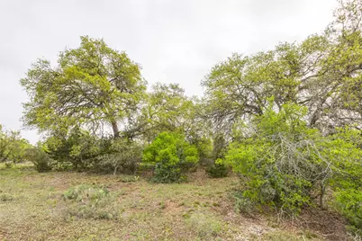 Tbd Logan's Way, Blanco, TX 78606 - Photo 14