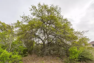 Tbd Logan's Way, Blanco, TX 78606 - Photo 12