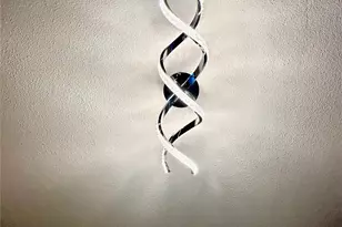 1102 Serenada Dr, Georgetown, TX 78628 - Photo 4