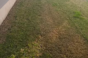 13105 Foreston Dr, Austin, TX 78754 - Photo 18