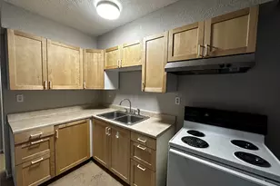 11006 1st St, Jonestown, TX 78645 - Photo 2