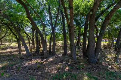 420 Blanco River Ranch Boulevard, San Marcos, TX 78666 - Photo 6