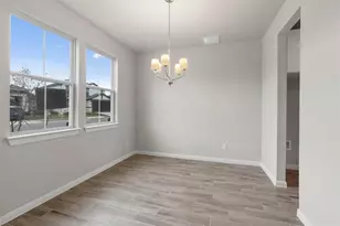 221 Comet Pointe Dr, Georgetown, TX 78628 - Photo 14
