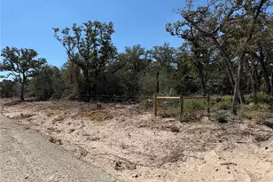 320 Daisy Haven Ln, Seguin, TX 78155 - Photo 2