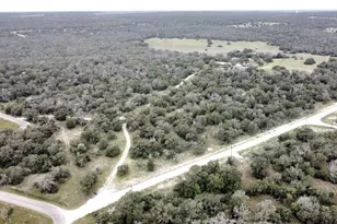 320 Daisy Haven Ln, Seguin, TX 78155 - Photo 8