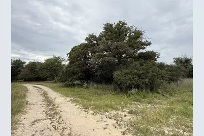 320 Daisy Haven Lane, Seguin, TX 78155 - Photo 4