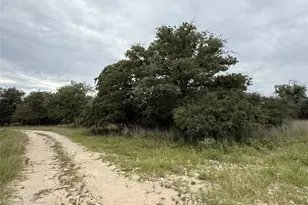 320 Daisy Haven Ln, Seguin, TX 78155 - Photo 4