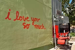 2003 Wilson St, Austin, TX 78704 - Photo 34