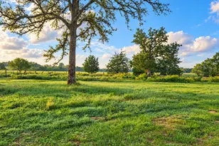 1791 County Road 441, Harwood, TX 78632 - Photo 1