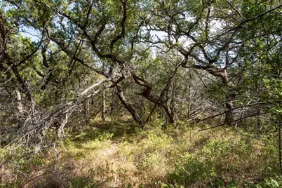 600 Summit Pass, San Marcos, TX 78666 - Photo 6