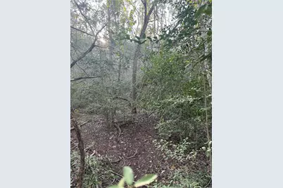 Lot 608 Waimanalo Drive, Bastrop, TX 78602 - Photo 6
