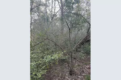 Lot 608 Waimanalo Drive, Bastrop, TX 78602 - Photo 4