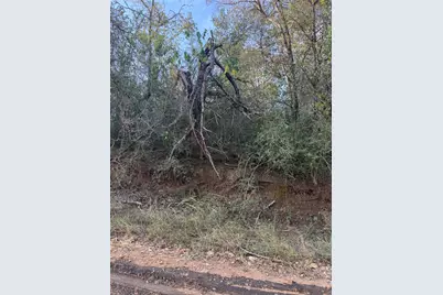 Lot 608 Waimanalo Drive, Bastrop, TX 78602 - Photo 2